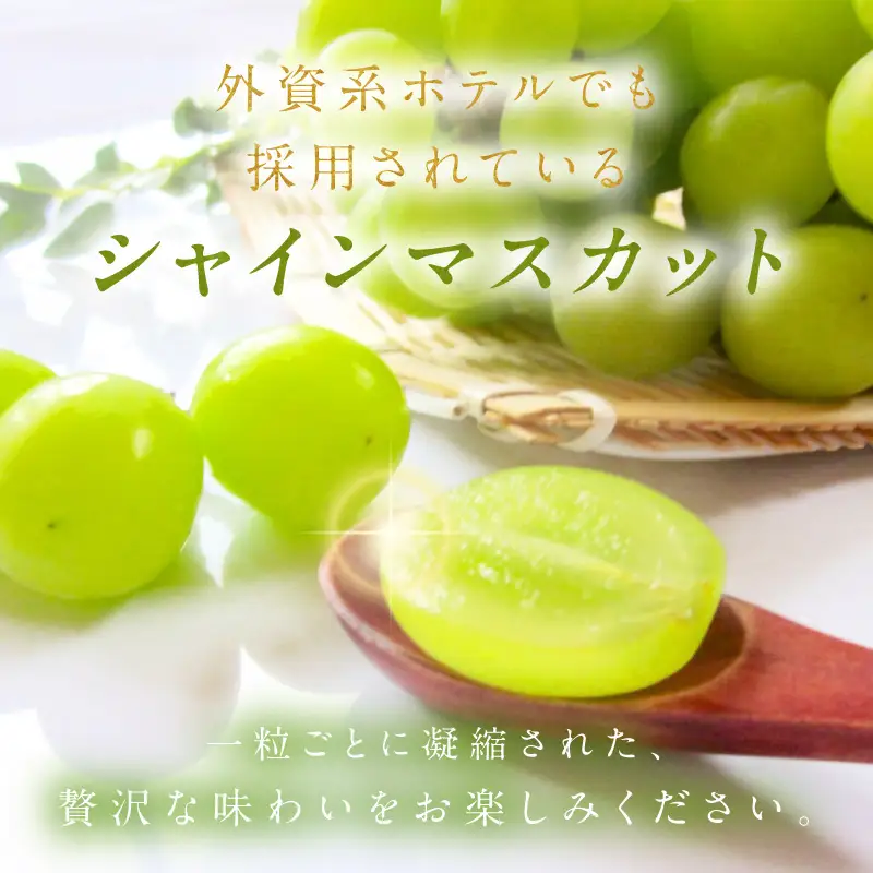 【ふるなびWEEK対象】シャインマスカット 樹上完熟 1.2kg 2～3房