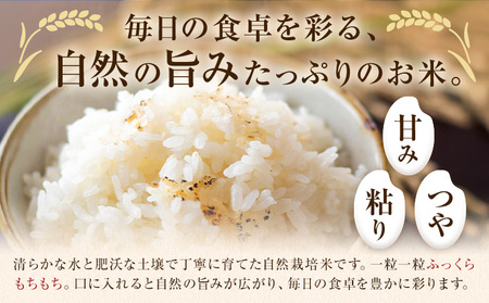 令和7年産 高野さんちの自然栽培米 白米 5kg《真空パック》 株式会社有機農場《30日以内に出荷予定(土日祝除く)》熊本県 菊池市 米 お米 ヒノヒカリ ひのひかり 自然栽培米 七城物語 熊本県産