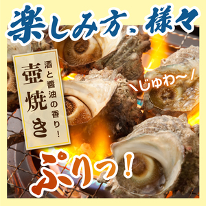 OM-08　サザエ 約1.5kg