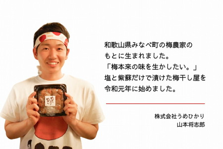 EP6023_【常温保管可能】ミネラル豊かな天日塩だけで漬けた 無添加梅干し3kg 梅ボーイズ｜南高梅 C202