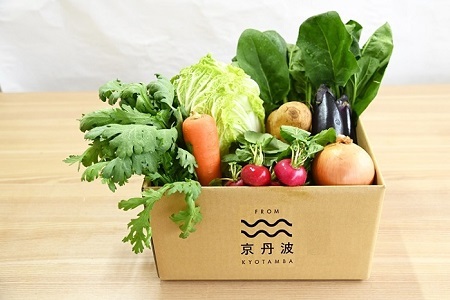 【6回定期便】 京丹波 旬菜セット スモール 6～8品目【 野菜定期便 】