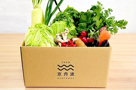 【12回定期便】卵付き 京丹波 旬菜セット プレミアム 10～12品目 【 野菜 野菜定期便 】