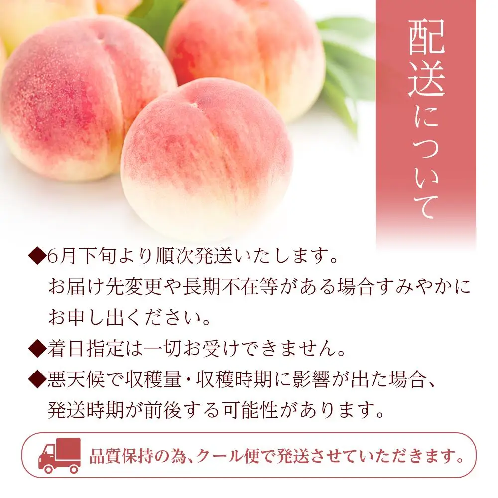 和歌山県産 旬 の 桃 5～6玉入り 秀品【2026年6月下旬より順次発送】［MG33］