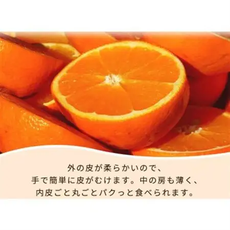 紀州有田産不知火(しらぬひ) 2.5kg【1495491】
