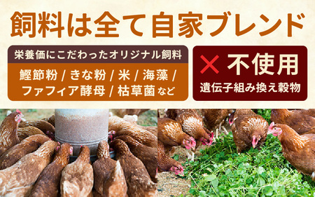 【定期便】 平飼いたまご 50個×3ヶ月間