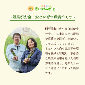 極甘 ホワイトコーン 12本 | とうもろこし コーン