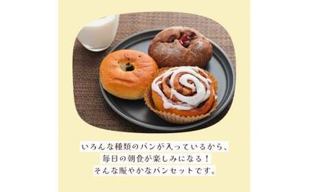 【定期便 10回】店主おすすめのパンセット（6種類前後）【 おまかせパン 冷凍 定期便 詰め合わせ セット プレゼント 贈り物 手作り 直送パン ぱん 冷凍パン おすすめ 菓子パン ハード系 食パン 調理パン パン詰め合わせ 保存食 非常食 京都 綾部 】
