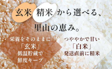 「聖米」 白米 5kg | 米 お米 こしひかり 白米 精米