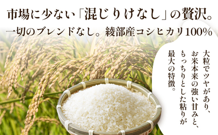 「丹波美人」白米 10kg （5kg×2） | 米 お米 こしひかり 白米 精米