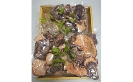 原木乾しいたけ 150g （50g×3袋）【 原木栽培 国産 しいたけ 椎茸 キノコ きのこ 贈り物 プレゼント 贈答 お土産 化粧箱 京都 綾部 】