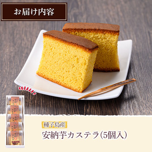 n241 安納芋 カステラ 5個 お菓子 【菓子処酒井屋】