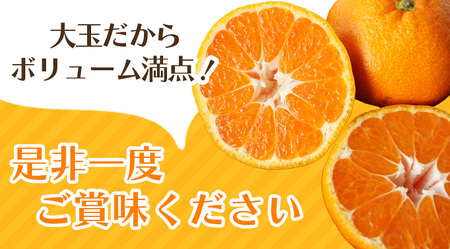 ボリューム満点！ 秀優品 大玉 温州みかん 4kg【2L～3Lサイズ】【2026年12月から2027年3月下旬頃に順次発送】＜味好農園＞/ 温州 蜜柑 みかん 柑橘 果物 フルーツ ミカン 甘い 美味しい【agy004-l-4】