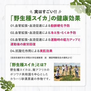 クラフトコーラ 「いこまスイカ割り」 体にやさしい 1本 200ml コーラシロップ 野生種スイカ スイカ 大和橘 キハダの実 シトルリン アミノ酸 炭酸割り コーラ シロップ ドリンク ソフトドリンク 飲み物 飲料 お取り寄せ 奈良県 生駒市 送料無料