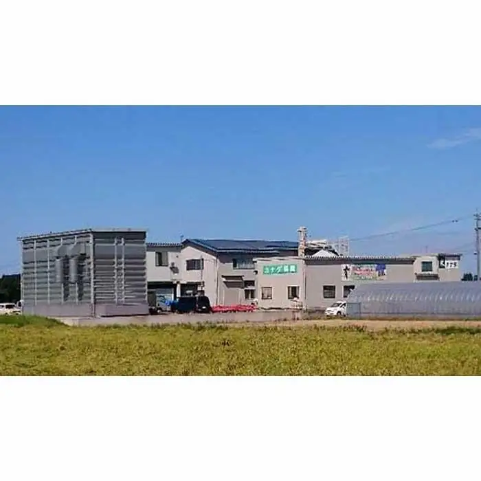 【令和7年産】富山県産こしひかり　育（はぐくみ）白米２個セット 3kg×2個 《南砺の逸品》