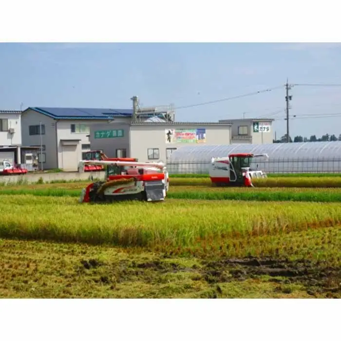 【令和7年産】富山県産こしひかり　育（はぐくみ）白米１０kg《南砺の逸品》