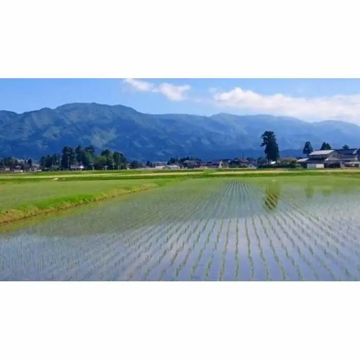 【令和7年産】富山県産こしひかり　育（はぐくみ）玄米　5キロ×２個セット《南砺の逸品》