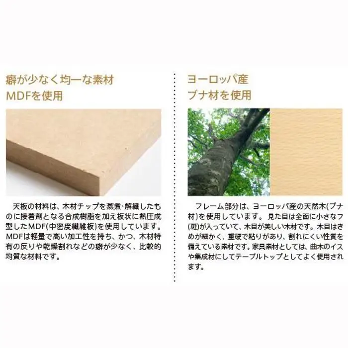 ペット用フードボウルスタンド「わんわんテーブル」シングルL　NA