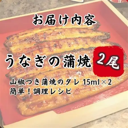 特撰浜名湖うなぎ蒲焼140g×2尾_魚介・海産物 うなぎ  ウナギ 鰻_【配送不可地域：離島】【1497488】
