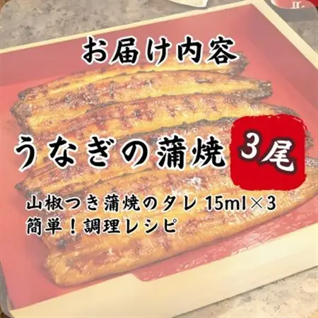 特撰浜名湖うなぎ蒲焼140g×3尾_魚介・海産物 うなぎ  ウナギ 鰻_【配送不可地域：離島】【1497489】
