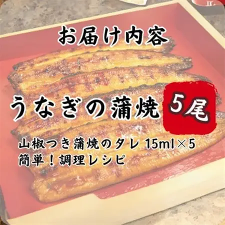 特撰浜名湖うなぎ蒲焼140g×5尾_魚介・海産物 うなぎ  ウナギ 鰻_【配送不可地域：離島】【1497502】