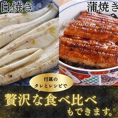 【蒲焼き用タレ付き】浜名湖うなぎ白焼き140g×10尾(冷凍・真空パック)_うなぎ 鰻 白焼き 浜名湖産 冷凍 真空パック_【配送不可地域：離島】【1497509】