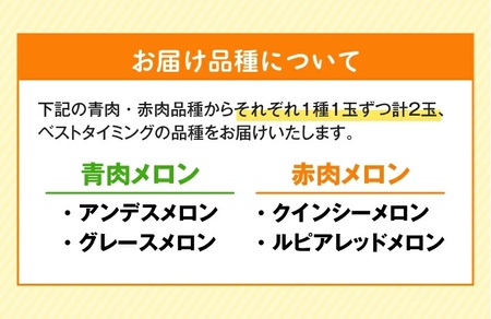 SA2933　庄内砂丘 『青肉・赤肉メロン』セット　約2.5kg 計2玉(各1玉入) 品種おまかせ
