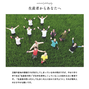 無洗米 コシヒカリ 5kg 米 お米 精米 白米 銘柄米 ブランド米 5キロ 産地直送 兵庫県産 兵庫 兵庫県 小野市