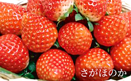 先行予約 いちご 1箱 （約300g～350g） 佐賀県産 イチゴ 苺 果物 フルーツ デザート ※配送不可:北海道 