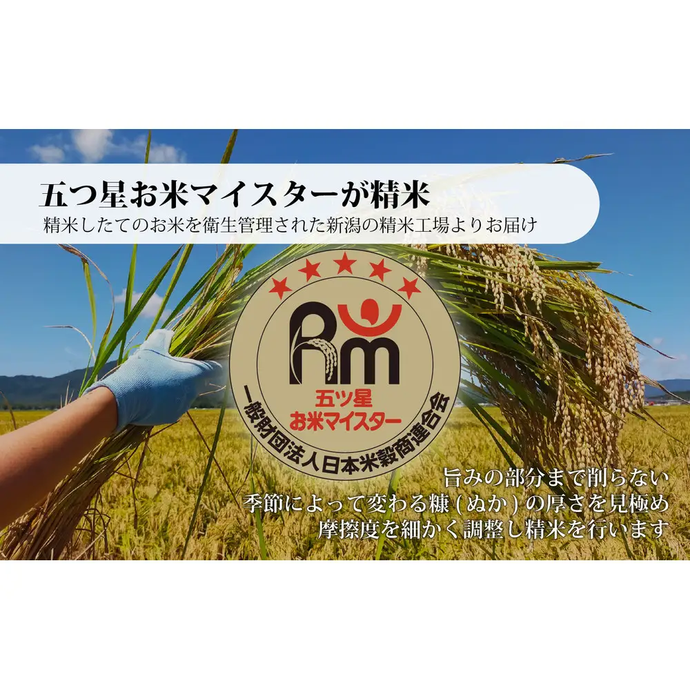 佐渡産コシヒカリ 10kg (5kg x 2) 令和7年産