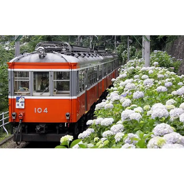箱根ルルルン～しっとりアジサイの香り～フェイスマスク全10枚（2箱セット）［マスク］