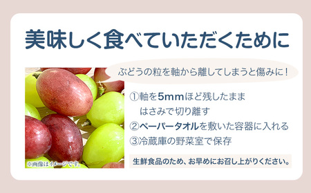 訳ありつる付きニューピオーネ 2房【配送不可地域あり】