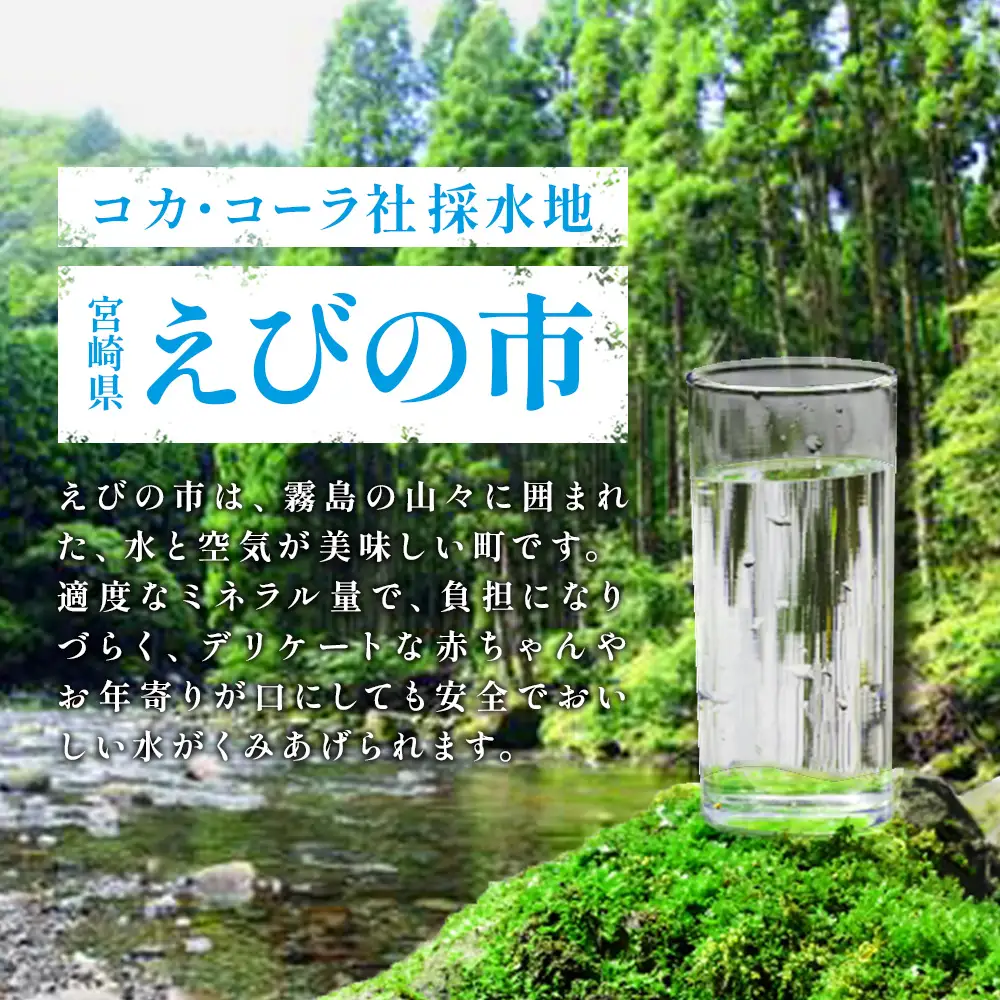 アクエリアス ビタミン アクエリアス PET 500ml×24本×各1ケース【コカコーラ】 セット 合計48本 2ケース 水分補給 熱中症対策 部活 スポーツ 少年団