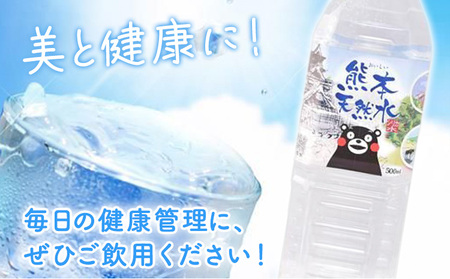 シリカ天然水 500ml×42本 株式会社Foody's《30日以内に出荷予定(土日祝除く)》熊本県 菊池市 シリカ水 飲料水 ミネラルウォーター 水 軟水 鉱水 ペットボトル