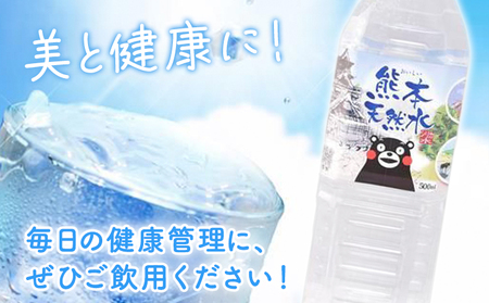 【6ヶ月定期便】シリカ天然水 500ml×42本 計252本 株式会社Foody's《申込月の翌月から出荷開始》熊本県 菊池市 シリカ水 飲料水 ミネラルウォーター 水 軟水 鉱水 ペットボトル 定期便