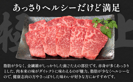 阿蘇あか牛 モモ 合計約500g 約100g×5袋 株式会社LARKS《30日以内に出荷予定(土日祝除く)》お肉 和牛 あか牛 焼肉 熊本県産 九州産 国産 冷凍 送料無料