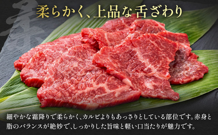 阿蘇あか牛 上ロース 合計約500g 約100g×5袋 株式会社LARKS《30日以内に出荷予定(土日祝除く)》お肉 和牛 あか牛 焼肉 熊本県産 九州産 国産 冷凍 送料無料