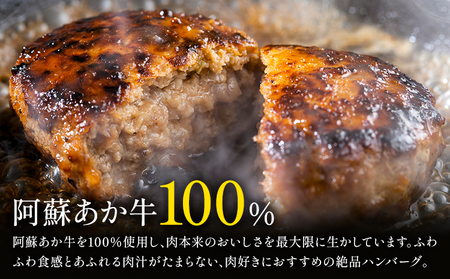 阿蘇あか牛ハンバーグ 750g 150g × 5個 株式会社LARKS《30日以内に出荷予定(土日祝除く)》ハンバーグ あか牛 牛肉 熊本県 冷凍 送料無料