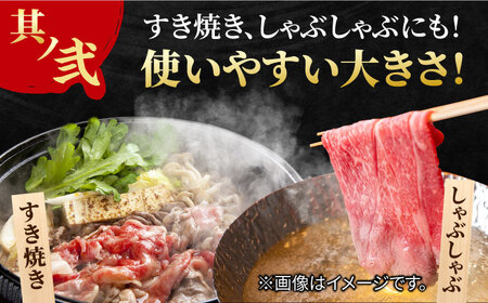 【全3回定期便】佐賀牛 赤身とバラ肉の切り落とし 250g×2 黒毛和牛切り落とし 切り落とし[FCY014]