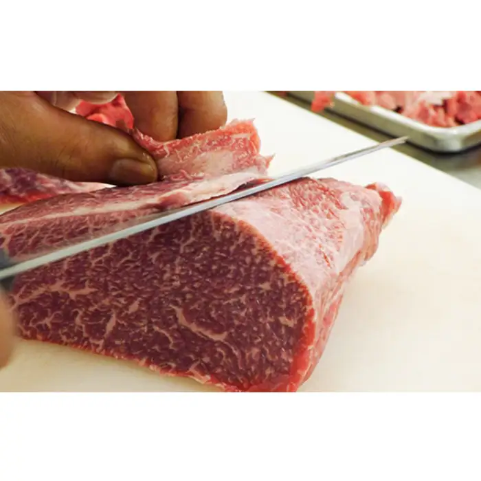 松川牧場のこだわり牛肉　BBQ・焼肉セット 500g ロース部位から1パック カルビ部位から1パックお届け 松川牧場 No.031