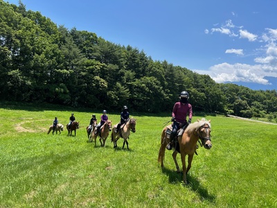 プレイス八ケ岳 ロッジ＆コテージ 施設利用券30,000円分 [h289]