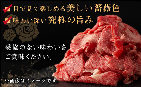 長崎和牛 牛肉すき焼き用 牛肉すき焼き 700g[QBN009]