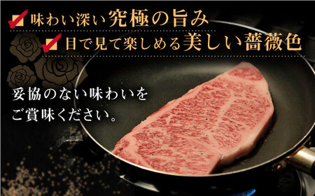 【全6回定期便】長崎和牛 出島ばらいろ  サーロイン ステーキ約500g（約250g×2枚）[QBN020]