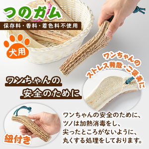 【C7046】＜犬のおやつ・歯固め用＞ エゾ鹿ジァーキィー＆つのガム(各3袋) 犬 ペット 鹿肉ジャーキー 角ガム おやつ 歯固め ジャーキー 犬用ジャーキー ドッグ ガム ドッグガム ペット用 フード 鹿 蝦夷鹿 北海道 士別市 贈り物 愛犬 プレゼント 【士別ジビエ工房 CHOUETTE】