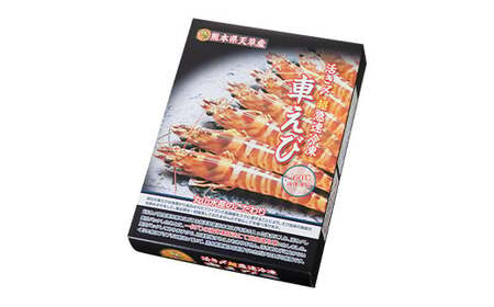 活き〆超急速冷凍車えび 250g（約8～11尾） 車海老 車えび 車エビ 海老 えび エビ 刺身 刺し身 真空パック 海鮮 冷凍 熊本県 上天草市【2025年10月下旬より順次発送予定】