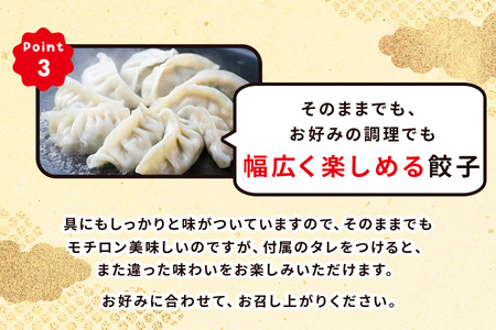 ハナちゃん生ぎょうざ 冷凍餃子 60個セット [0093]