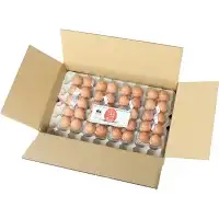 【希少品種】岡崎おうはんの卵 10個入×4パック【冷蔵配送】 / 田辺市 卵 たまご 有精卵 純国産鶏 鶏卵 平飼い お取り寄せ 卵かけごはん 和歌山県 【kag003】