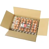 【3カ月定期便】希少品種　岡崎おうはんの卵 40個×3回【冷蔵配送】 / 田辺市 卵 たまご 有精卵 純国産鶏 鶏卵 平飼い お取り寄せ 卵かけごはん 和歌山県 【kag010-tk】