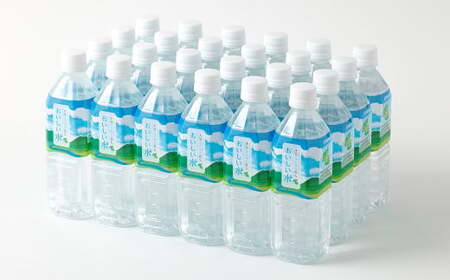 【3ヶ月定期便】大分 ここのえ育ち おいしい 水 500ml×24本 合計72本