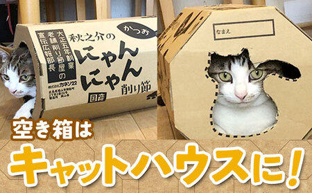秋之介のにゃんにゃん削り節 22g×20袋　かつおぶし