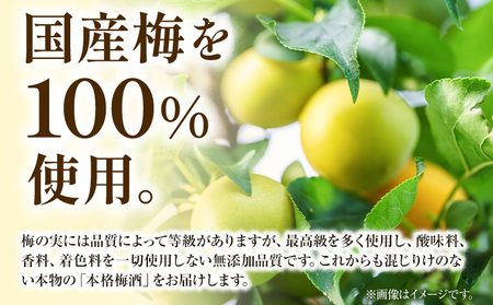 チョーヤ 梅ゼリー 180g × 30個